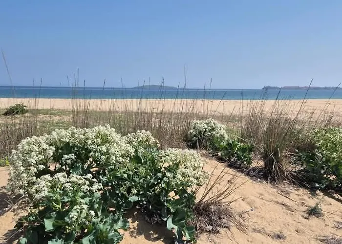 шангри ла - 2, плаж градина Camping *